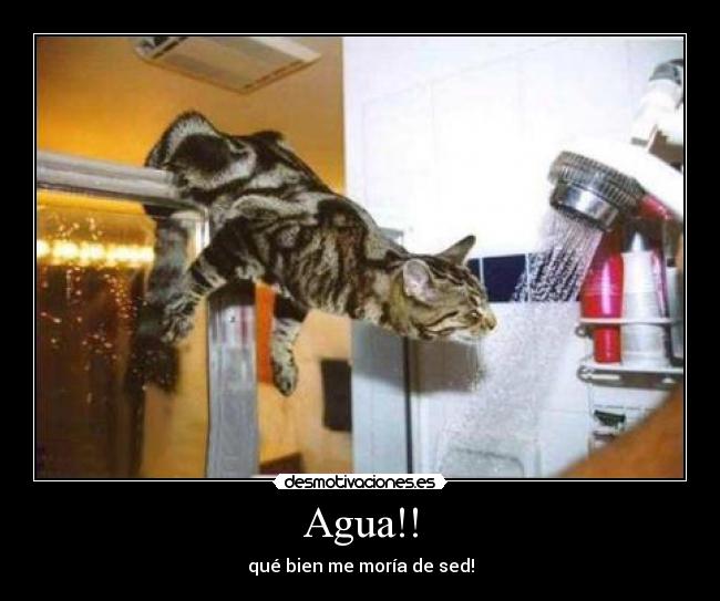 Agua!! -