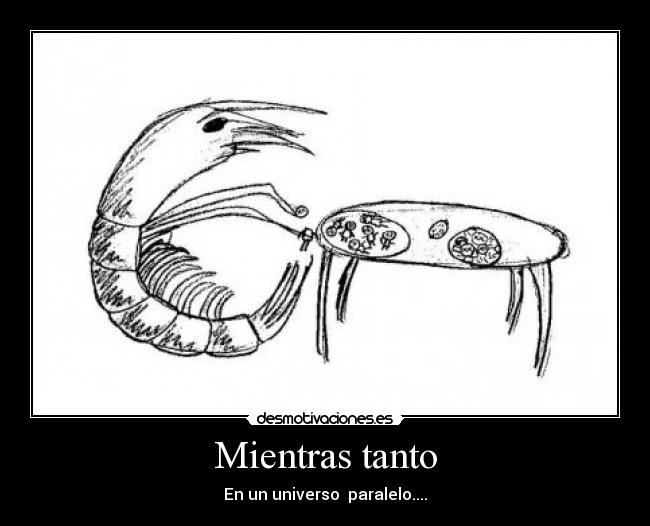 Mientras tanto - En un universo paralelo....