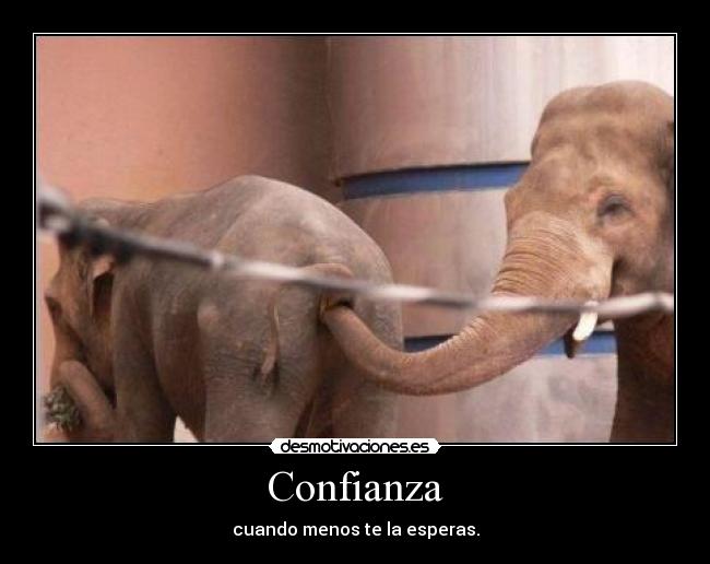 Confianza -