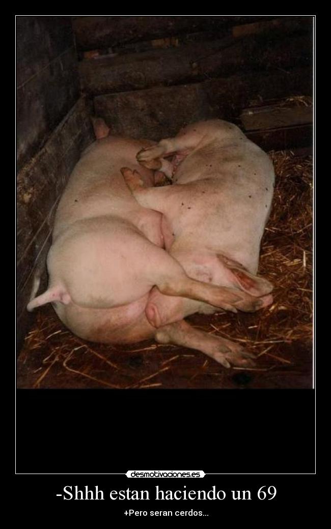 -Shhh estan haciendo un 69 -