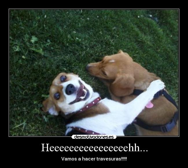 Heeeeeeeeeeeeeeeehh... -