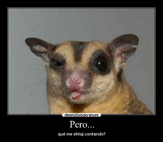 Pero... - qué me ehtaj contando?