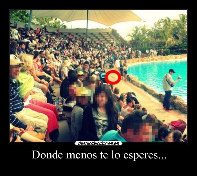 Donde menos te lo esperes... - 