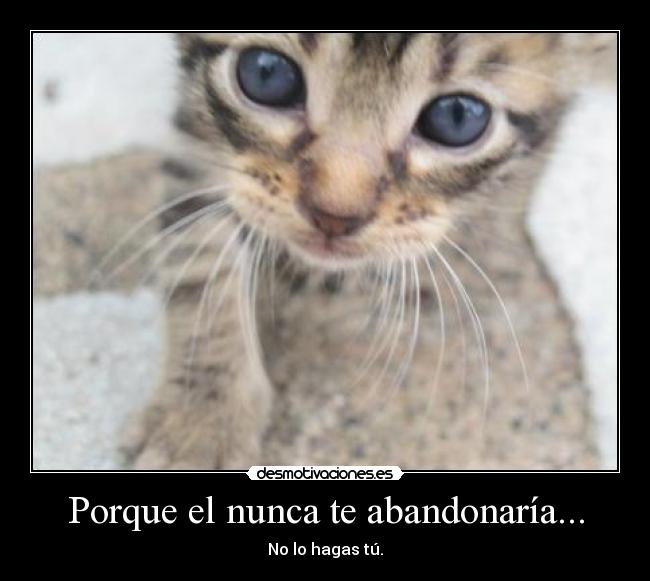 Porque el nunca te abandonaría... - No lo hagas tú.
