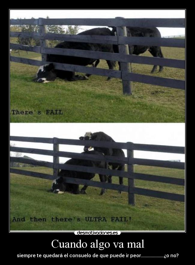 carteles birisviso desmotivaciones