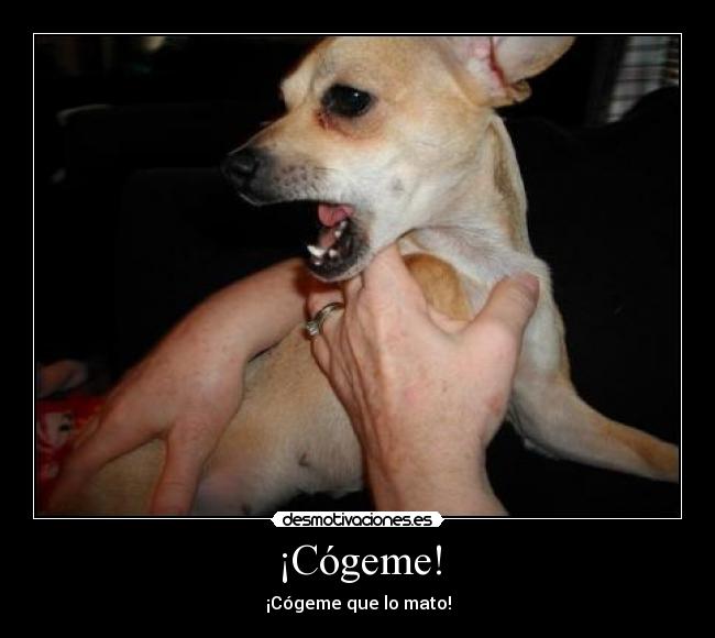 ¡Cógeme! -