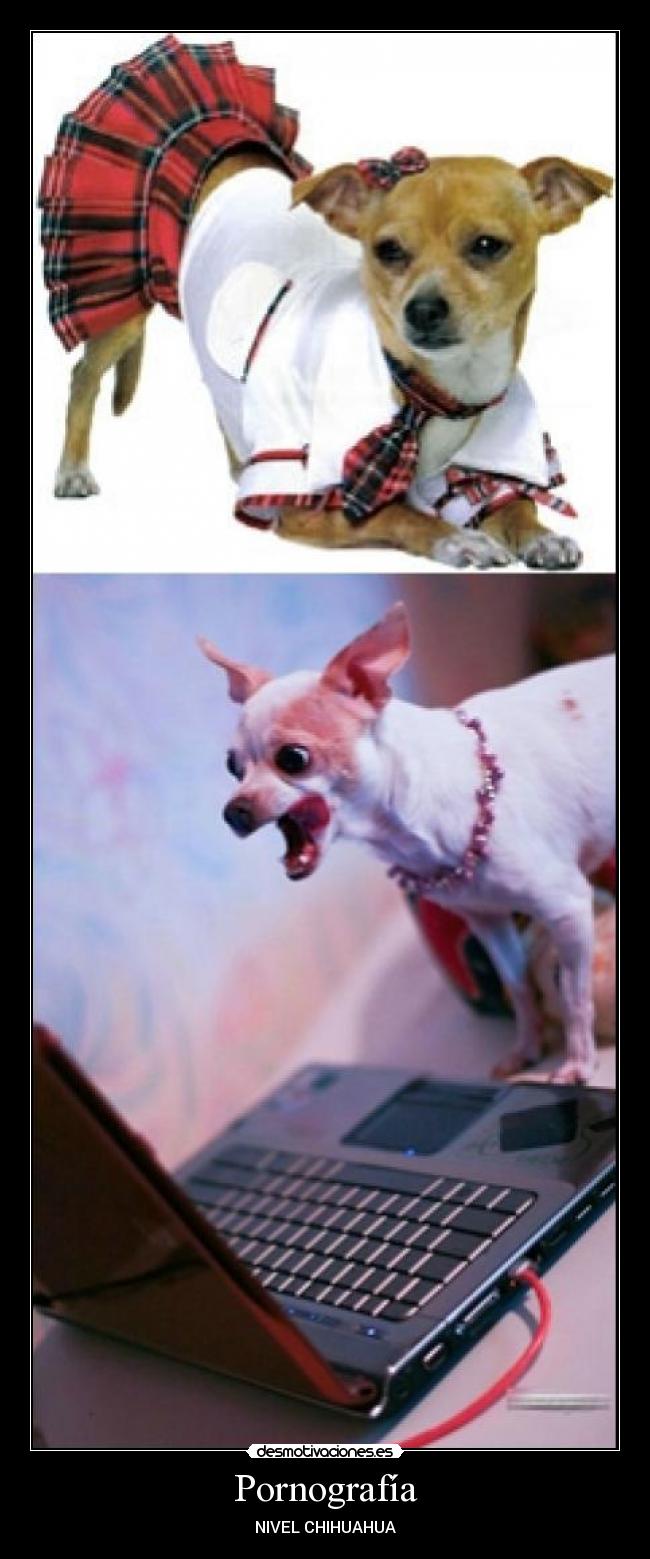 Pornografía -