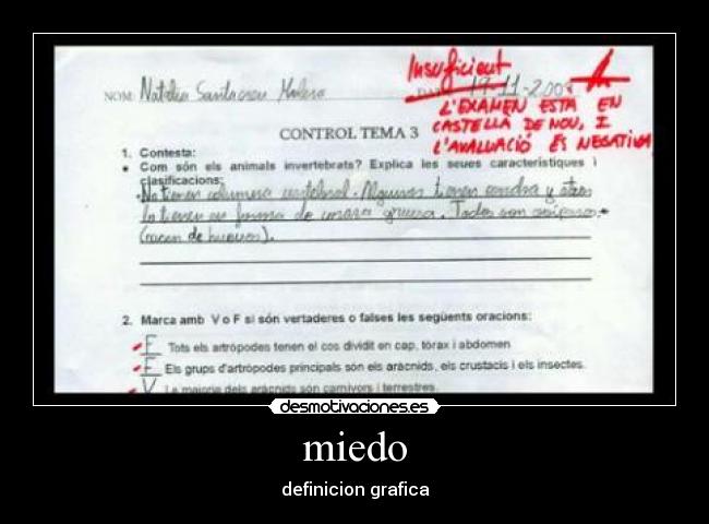 miedo - definicion grafica