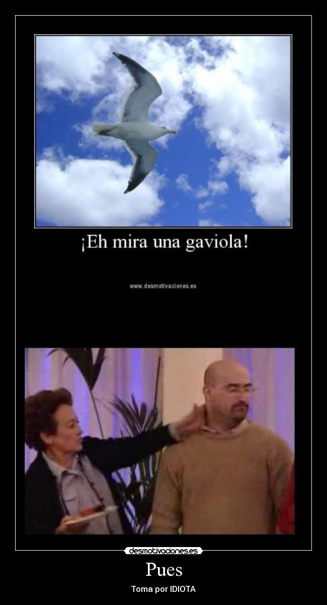 Pues - Toma por IDIOTA