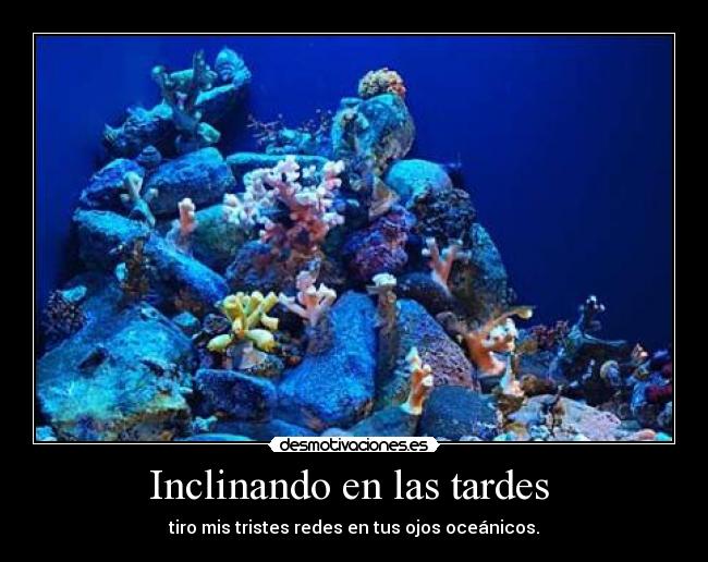 Inclinando en las tardes  - tiro mis tristes redes en tus ojos oceánicos.