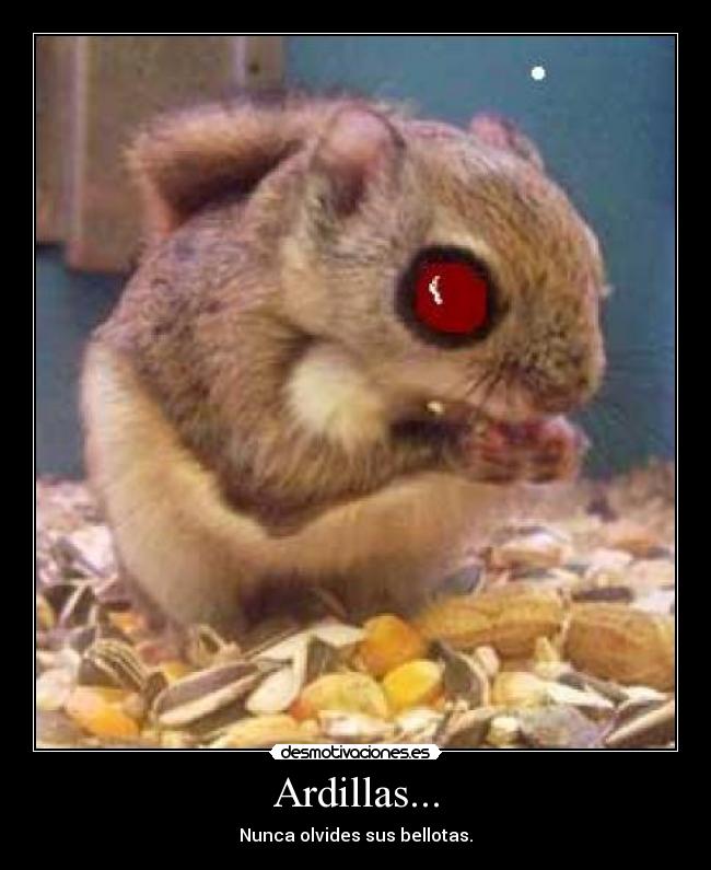 Ardillas... - 