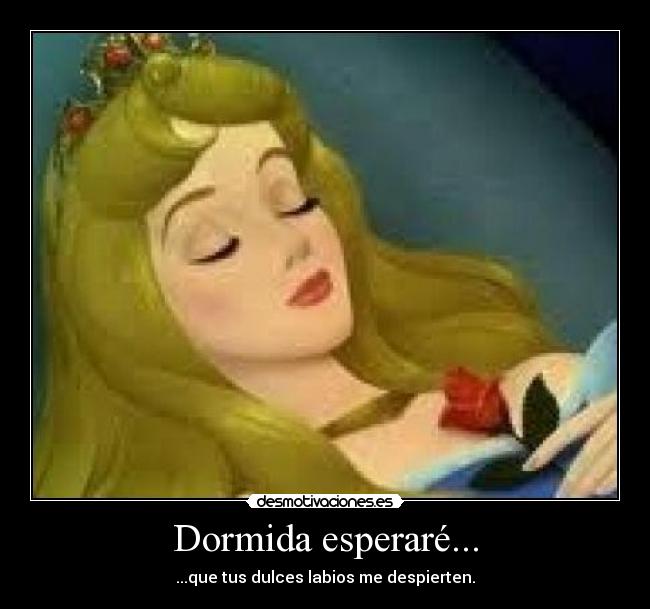 Dormida esperaré... - ...que tus dulces labios me despierten.