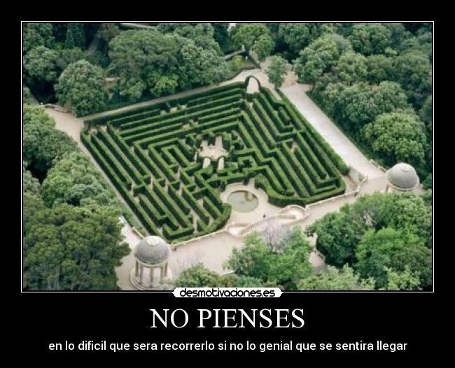 NO PIENSES -