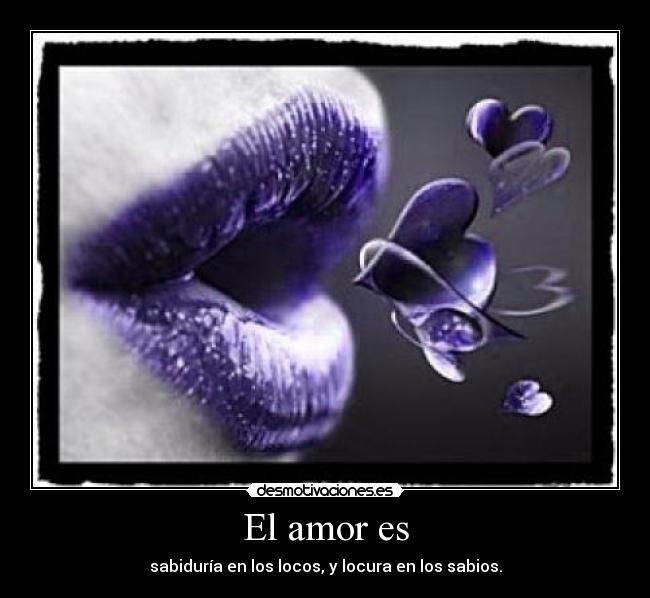 carteles amor amor sabiduria locos locura desmotivaciones