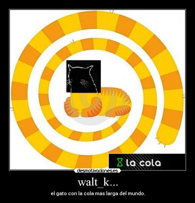 walt_k... - el gato con la cola mas larga del mundo.