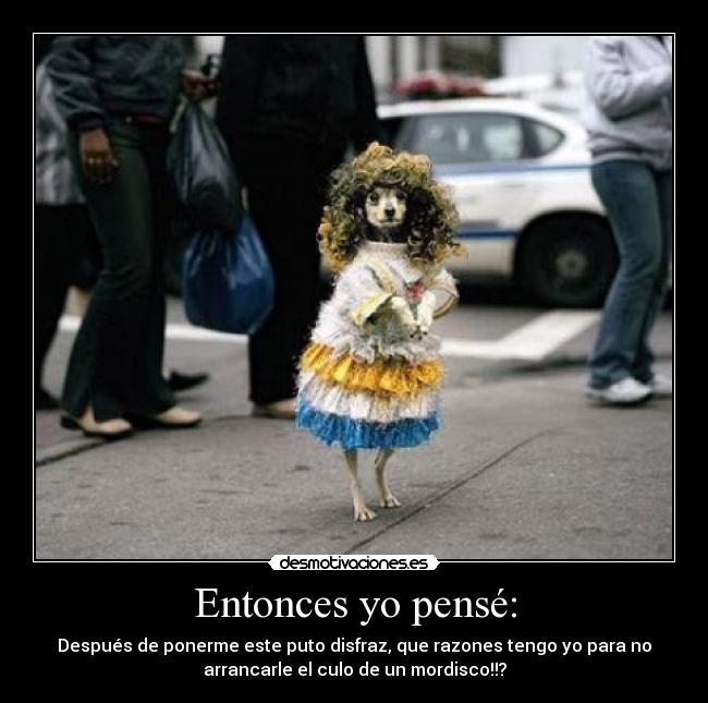 carteles lunnaris11 desmotivaciones