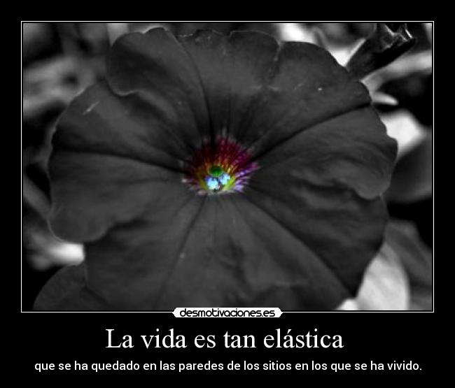La vida es tan elástica - que se ha quedado en las paredes de los sitios en los que se ha vivido.