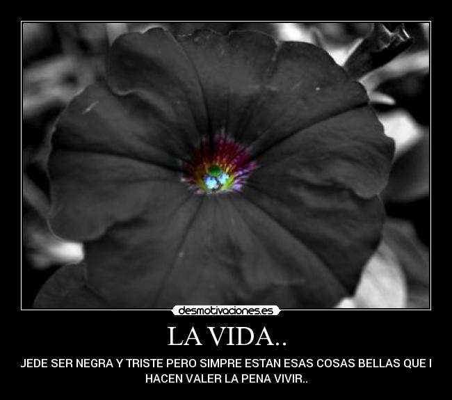 LA VIDA.. - PUEDE SER NEGRA Y TRISTE PERO SIMPRE ESTAN ESAS COSAS BELLAS QUE LA
HACEN VALER LA PENA VIVIR..