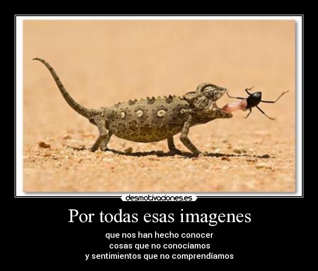 carteles por todas esas desmotivaciones