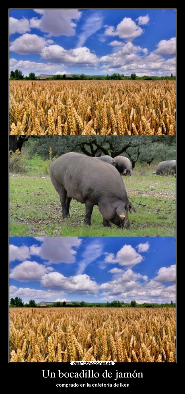 Un bocadillo de jamón - 