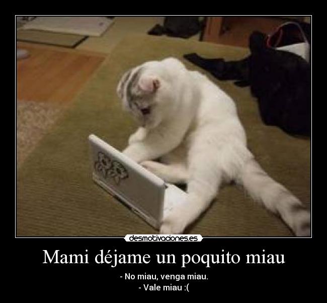 Mami déjame un poquito miau -