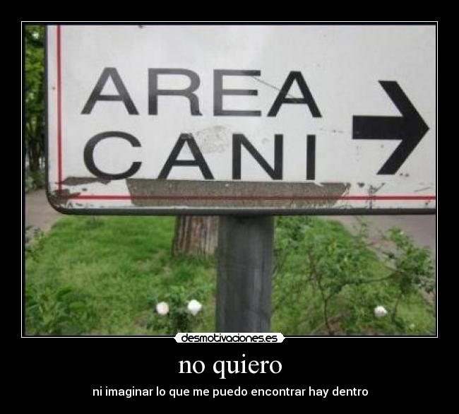no quiero - 