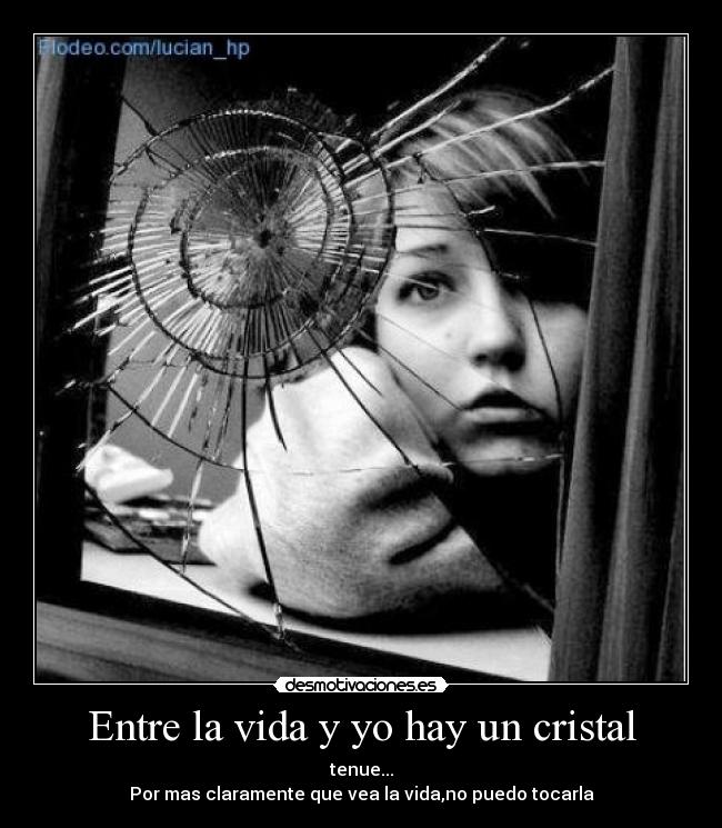 Entre la vida y yo hay un cristal -