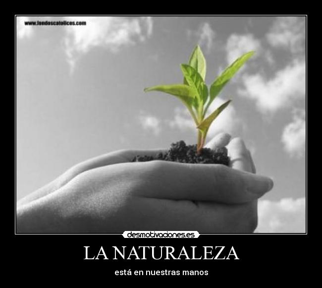 LA NATURALEZA - 