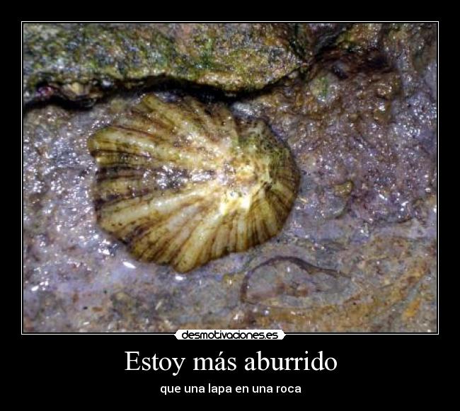 Estoy más aburrido - 