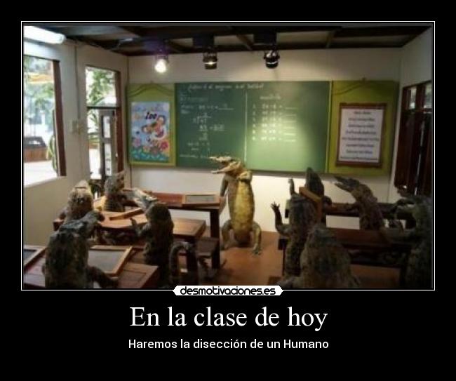 En la clase de hoy - Haremos la disección de un Humano