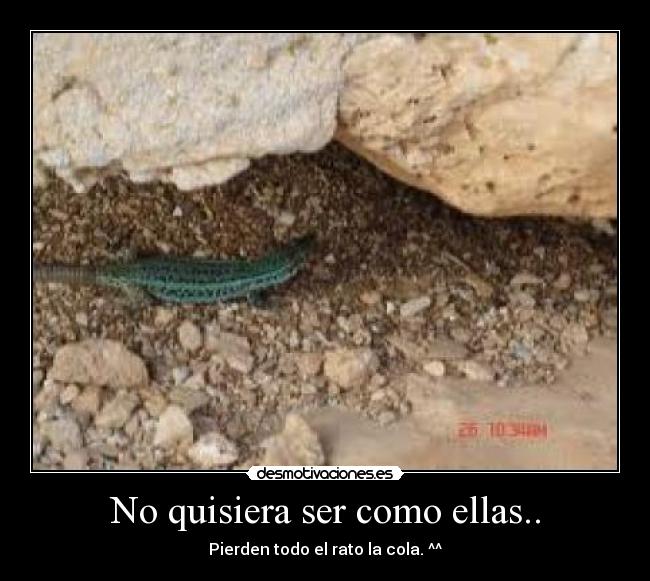 carteles rixard-cracko desmotivaciones