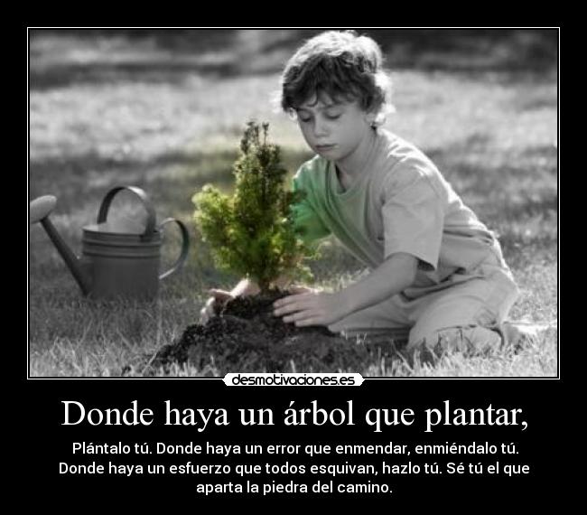 Donde haya un árbol que plantar, -
