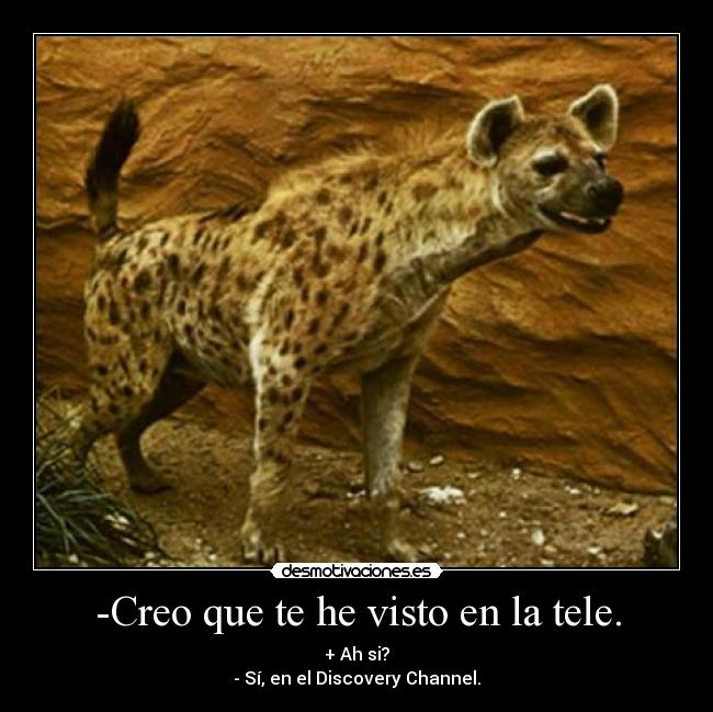 -Creo que te he visto en la tele. -