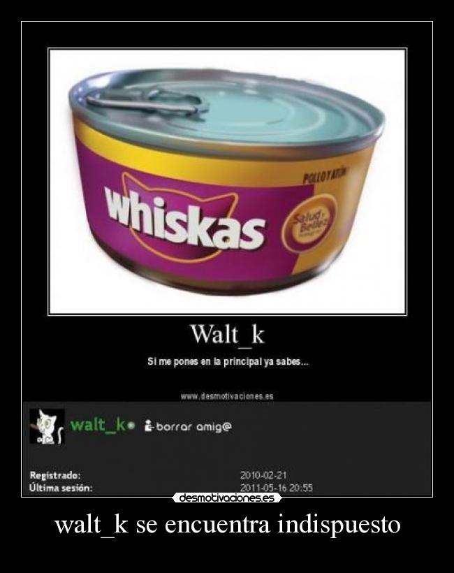 walt_k se encuentra indispuesto - 