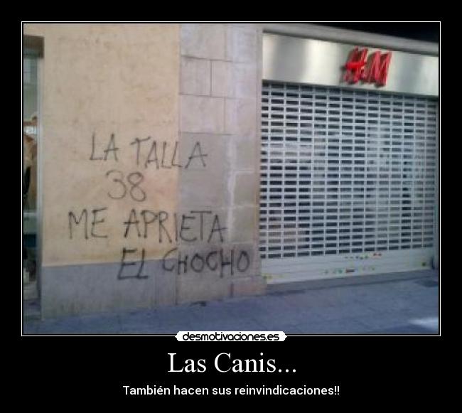 Las Canis... - También hacen sus reinvindicaciones!!