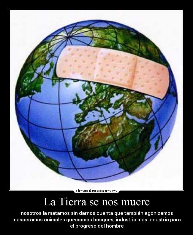 La Tierra se nos muere - nosotros la matamos sin darnos cuenta que también agonizamos
masacramos animales quemamos bosques, industria más industria para
el progreso del hombre