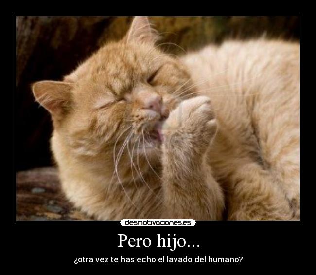 Pero hijo... - ¿otra vez te has echo el lavado del humano?