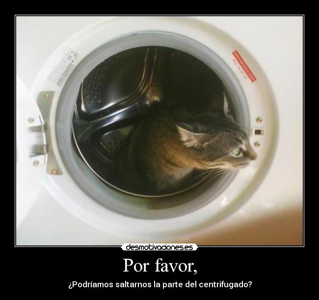 Por favor, - ¿Podríamos saltarnos la parte del centrifugado?