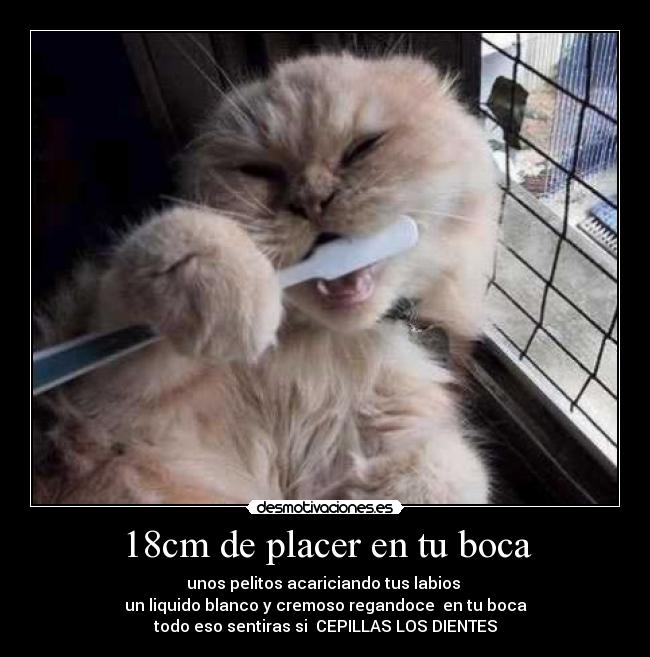 18cm de placer en tu boca -