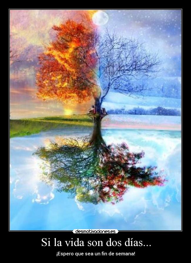 Si la vida son dos días... - 