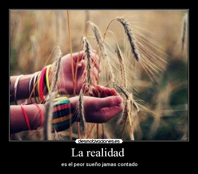 La realidad  - 