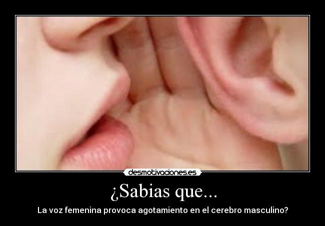 ¿Sabias que... - La voz femenina provoca agotamiento en el cerebro masculino?