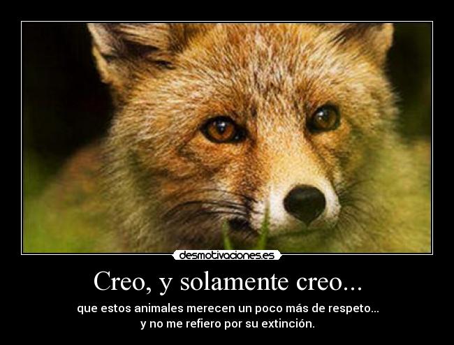 Creo, y solamente creo... -