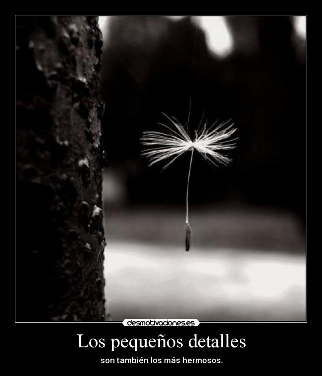Los pequeños detalles - 