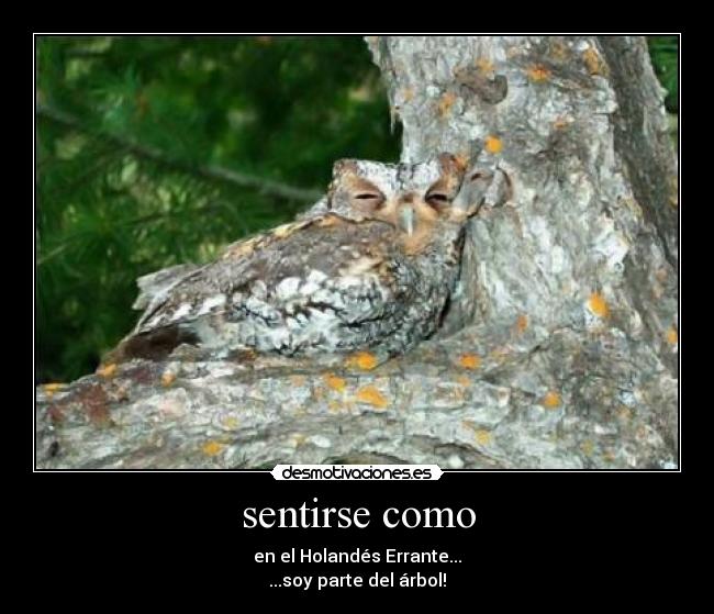 sentirse como - en el Holandés Errante...
...soy parte del árbol!