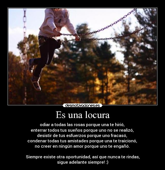 carteles locura locura rosas hirio amistad amor traicionar enganar oportunidad suenos desmotivaciones