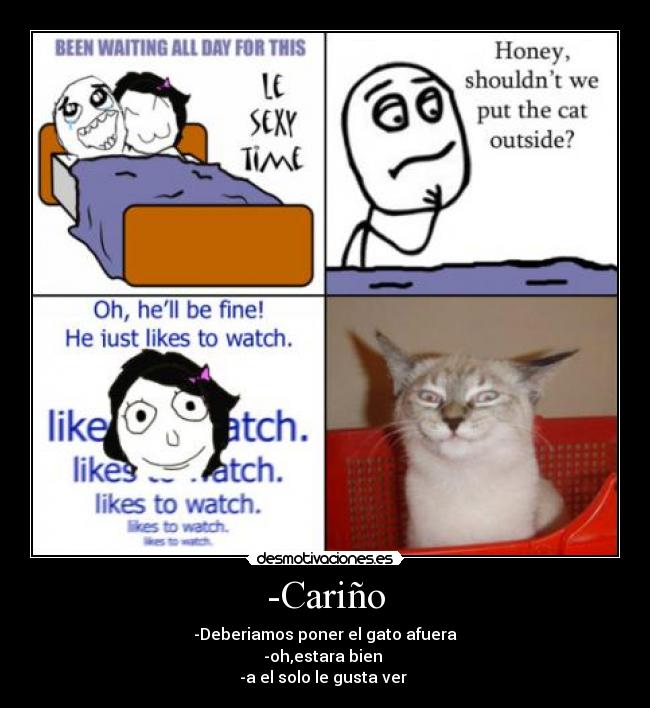-Cariño - -Deberiamos poner el gato afuera
-oh,estara bien
-a el solo le gusta ver