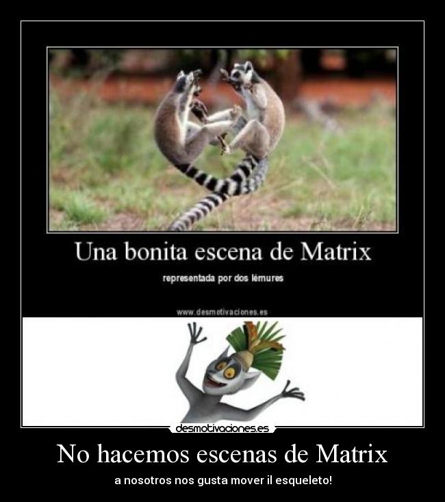 No hacemos escenas de Matrix - 