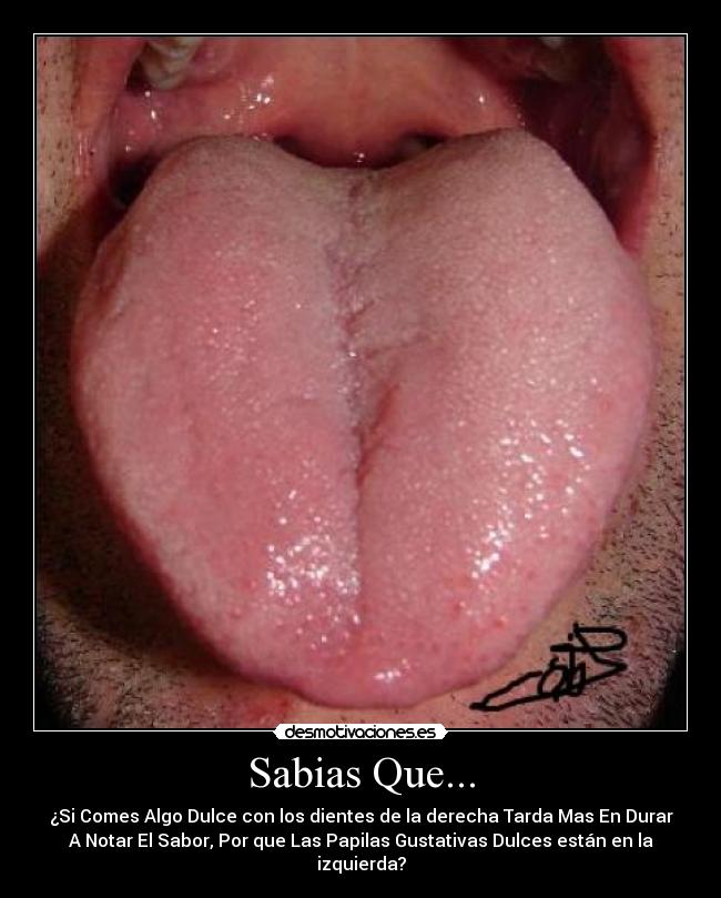 Sabias Que... - 