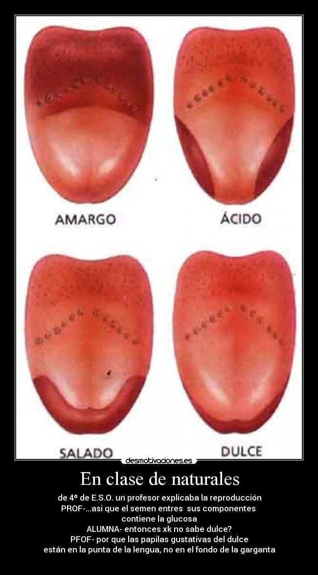 En clase de naturales -